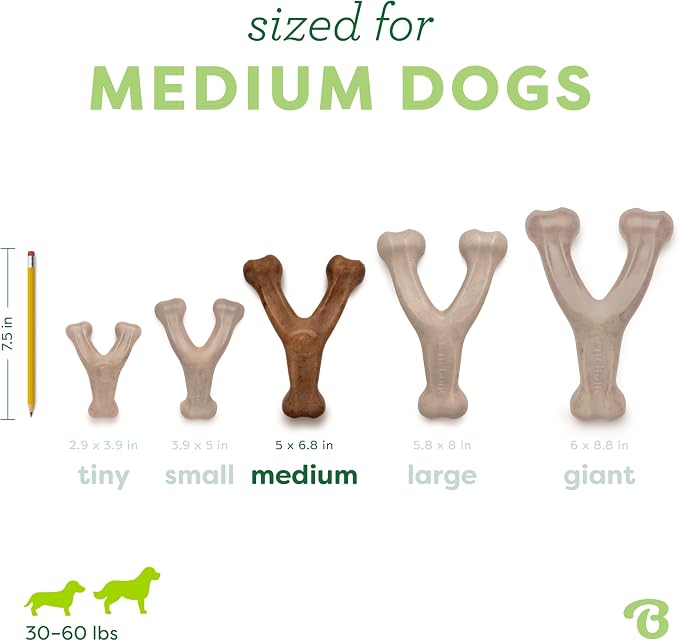 Benebone Wishbone Durable Dog Chew Toy - Image 4