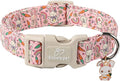Easter Dog Collar for Large Dogs by Babolepet