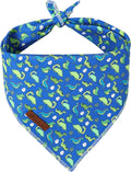 Summer Dog Bandana, UP URARA PUP Dinosaur Triangle Bid Scarf by UPURARAPUP