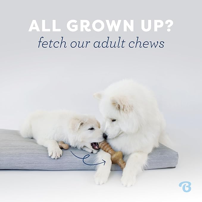 Benebone Puppy 4-Pack Dog Chew Toys, Made in USA, 30lbs and Under, - Image 7