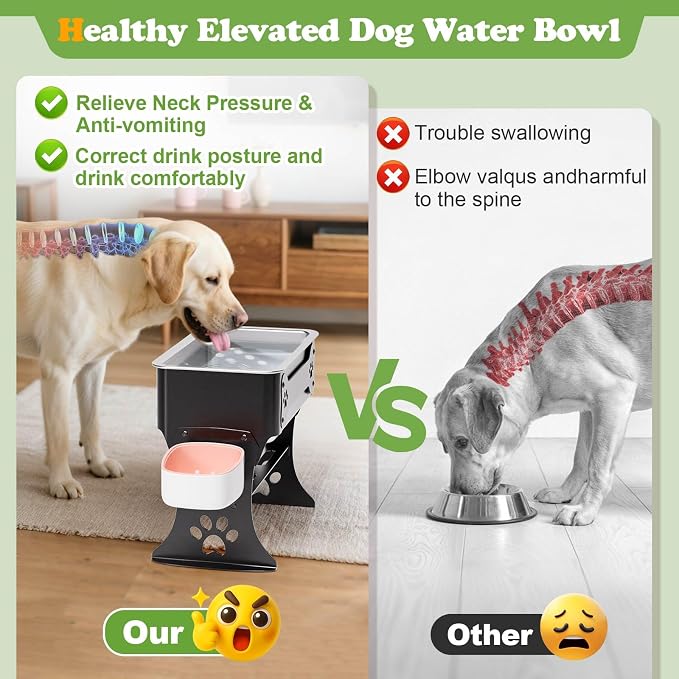 1.5 Gallon Elevated Large Dog Water Bowl, 2 Height Adjustable Stainless Steel - Image 3