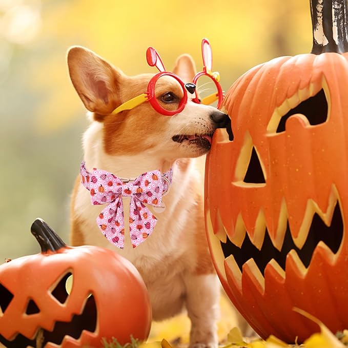 Halloween Pumpkin Dog Collar - Image 4