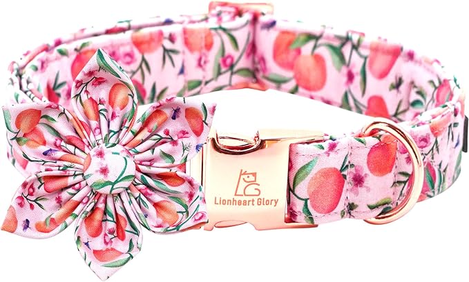 Lionheart glory Dog Collar by LionheartGlory