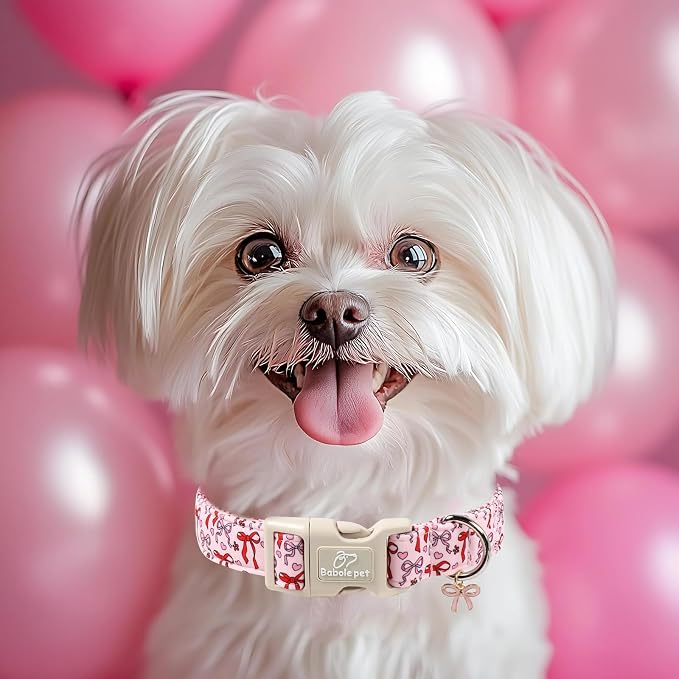 Girl Dog Collar for Small Dogs - Image 7