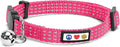 Pawtitas Reflective Pink Cat Collar by Pawtitas