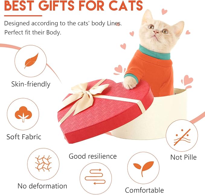 Sticky Cat Clothes Stretchy, Sphynx Hairless Sweater & Pajamas - Image 5