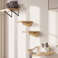 Wood Cat Wall Shelves with Sisal Cats Window Perch, Wall Mounted 4-Piece Cat by PELUOMOZ