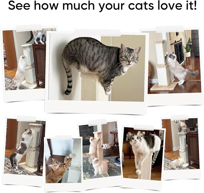 AGYM Cat Scratching Post for Large Cats, Cat Scratcher for Indoor Cats Adults - Image 6