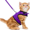 PUPTECK Soft Mesh Cat Vest Harness and Leash Set Puppy Padded Pet Harnesses by PUPTECK