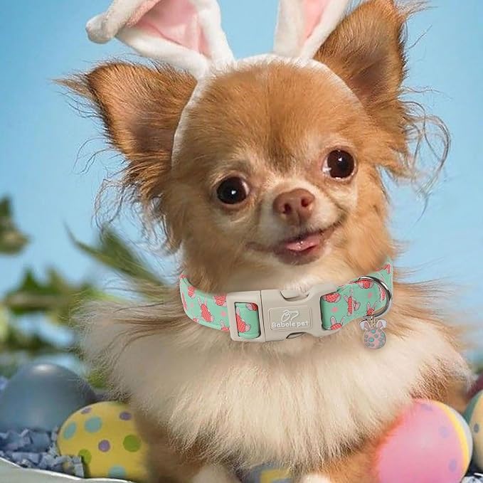 Easter Dog Collar for Large Dogs - Image 3