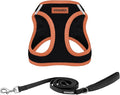 Best Pet Supplies Voyager Step-in Air All Weather Mesh Harness and Reflective by BestPetSuppliesLLC
