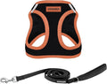 Best Pet Supplies Voyager Step-in Air All Weather Mesh Harness and Reflective by BestPetSuppliesLLC