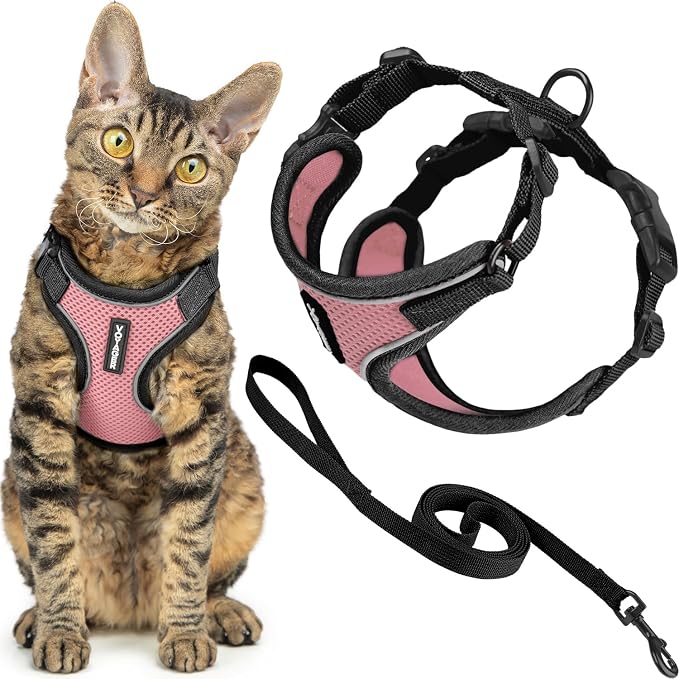 Voyager Escape-Proof Step-in Lock Cat Harness & 5ft Neoprene-Handle Leash Set by BestPetSuppliesLLC