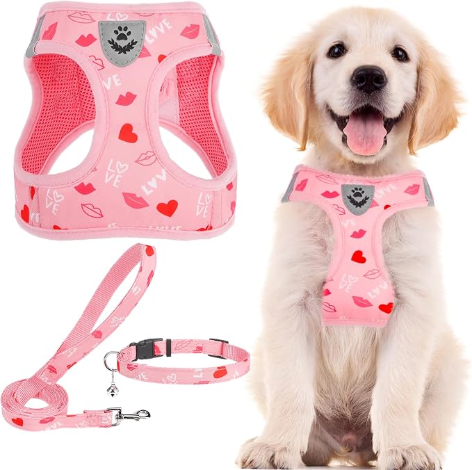 PUPTECK Adjustable Dog Harness Collar and Leash Set Step in No Pull Pet Harness by PUPTECK