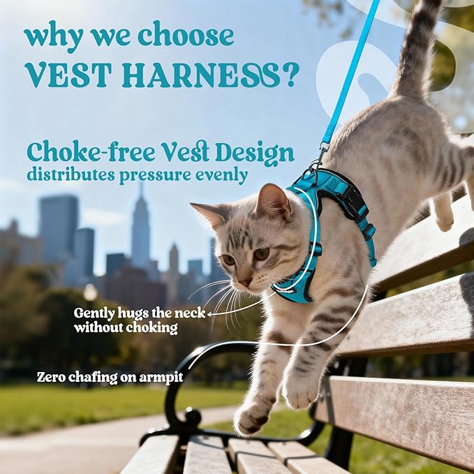 rabbitgoo Cat Harness and Leash - Image 3