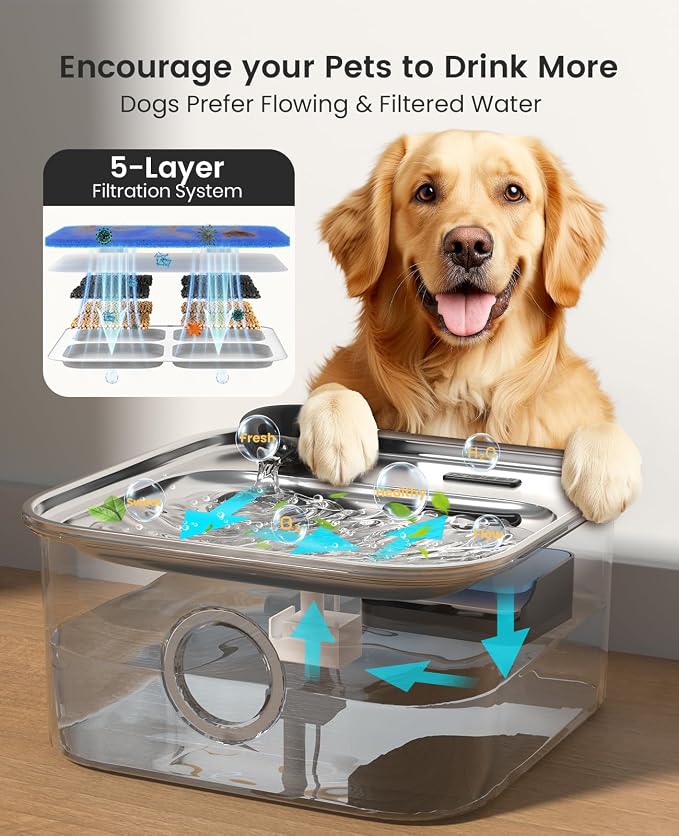 oneisall Dog Water Fountain, 2.6Gal/10L Stainless Steel Dog Water Bowl Dispenser - Image 3