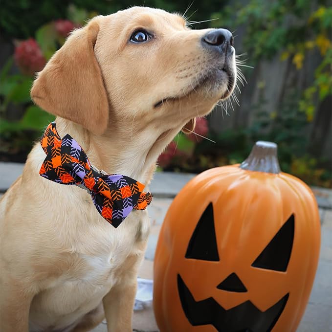 Halloween Dog Collar, Pet Collar Bow Plaid Pet Collars Girl Boy Holiday Pet - Image 3