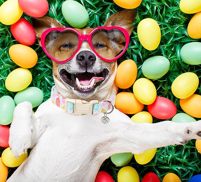 DOGWONG Easter Dog Collar, Colorful Egg Dog Collar Soft Durable Adjustable - Image 4