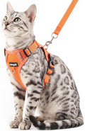 Cat Harness and Leash Escape Proof Extra Large Kitten Harness Maine Coon Cat by pangdi