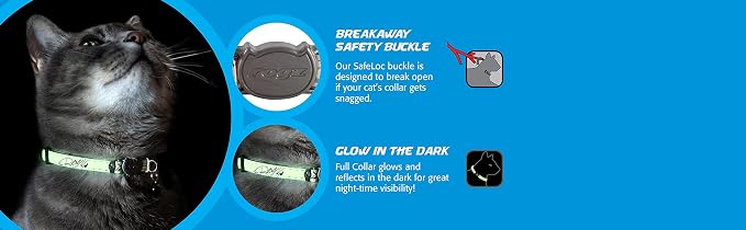 Rogz Glow in the Dark Reflective Cat Collar - Image 4