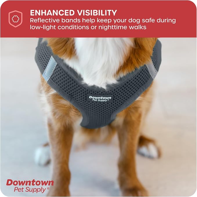 Downtown Pet Supply Step in Dog Harness No Pull, Titanium - Image 7