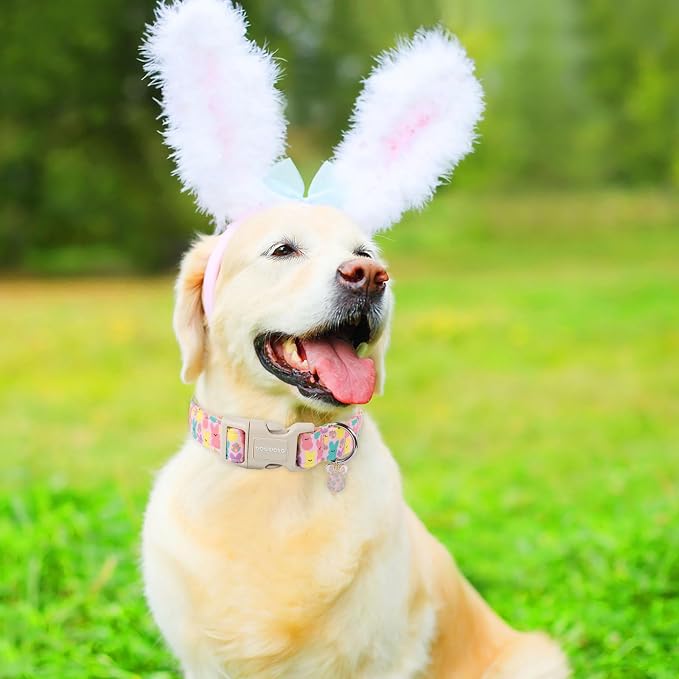 DOGWONG Easter Dog Collar, Cute Bunny Eggs Dog Collar Pink Babbit Pet Collar - Image 5