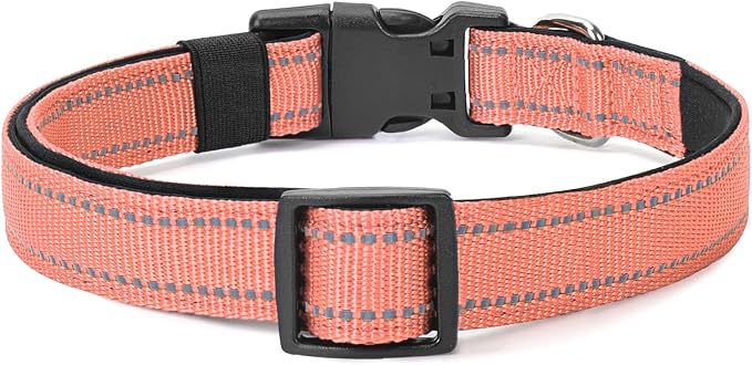 Reflective Dog Collar Padded - Image 6