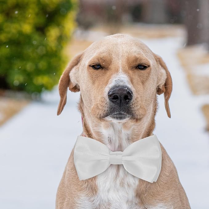 KOOLMOX Dog Bow Tie, Adjustable White Dog Collar Tie - Image 6