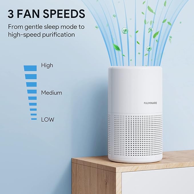 Air Purifiers for Bedroom, FULMINARE H13 True HEPA Air Filter, Quiet Air Cleaner - Image 5