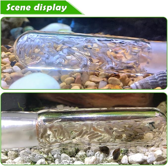 2 Pack Clear Glass Planaria Trap Catch Trap Aquarium Cleaning Supply - Image 3