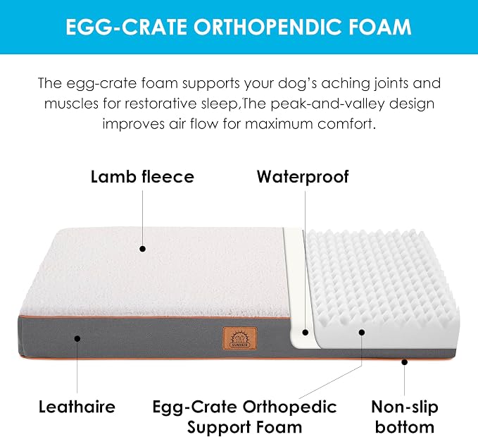 Sunheir Orthopedic Dog Beds for Small Dogs, Waterproof Puppy Bed - Image 2