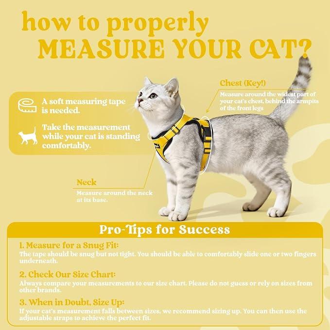 rabbitgoo Cat Harness and Leash - Image 2
