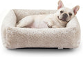 JOEJOY Small Dog Bed for Small Dogs, Washable Orthopedic Premium Soft Corduroy by JOEJOY