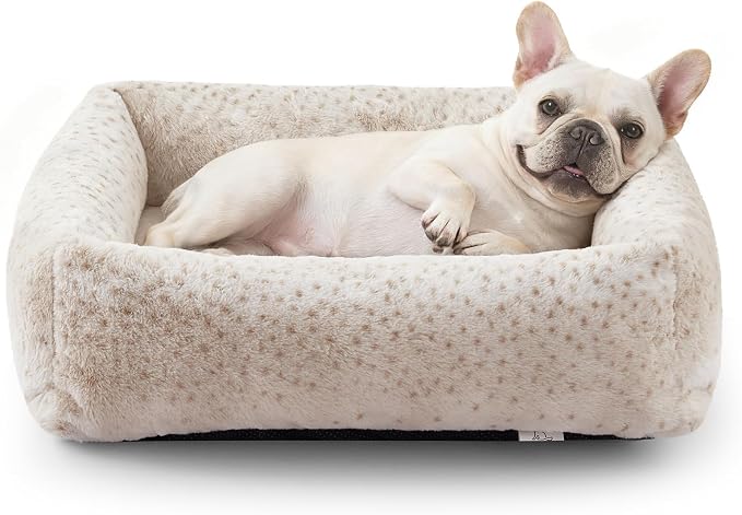 JOEJOY Small Dog Bed for Small Dogs, Washable Orthopedic Premium Soft Corduroy by JOEJOY