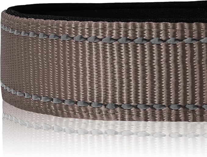 Joytale Reflective Dog Collar, Soft Neoprene Padded, Metal D-Ring, Nylon Pet - Image 4