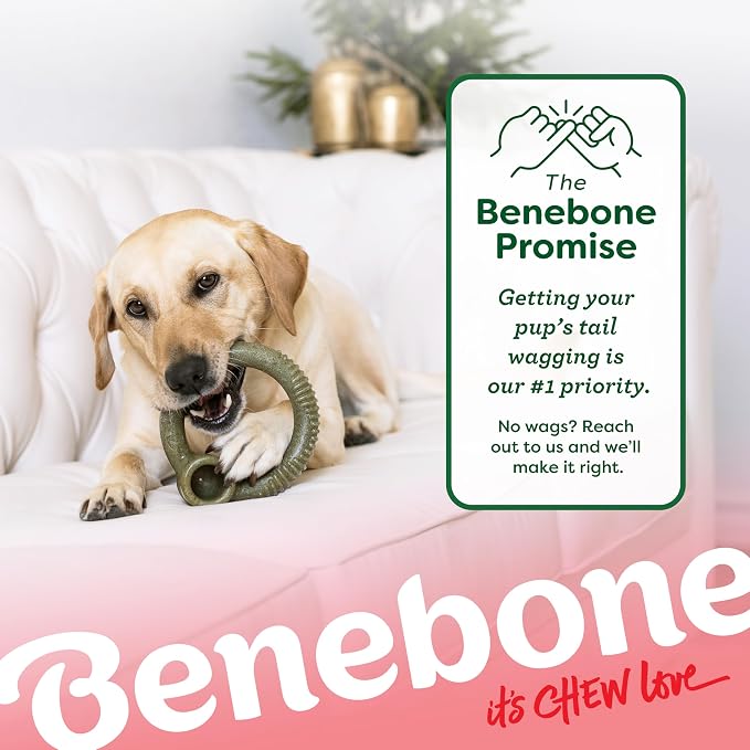 Benebone Peppermint Ring – Limited Edition Holiday Flavor, Durable Chew Toy - Image 6