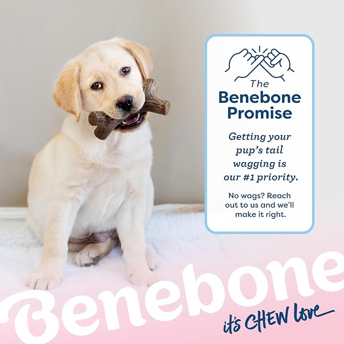 Benebone Puppy 4-Pack Dog Chew Toys, Made in USA, 30lbs and Under, - Image 8