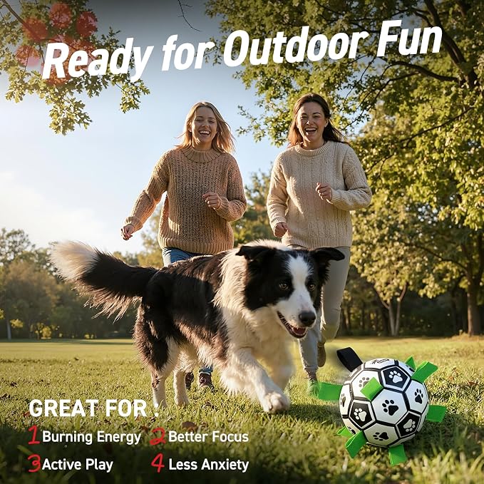 QDAN Dog Toys Dog Balls, World Cup Dog Soccer Ball - Image 2
