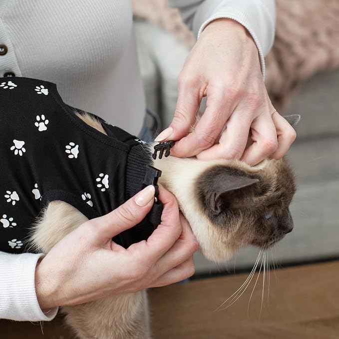 Cat Surgery Recovery Suit Female Cat Onesie - Image 9