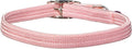 Kool Kat Elastic Cat Safety Collar by OmniPet%C2%AE