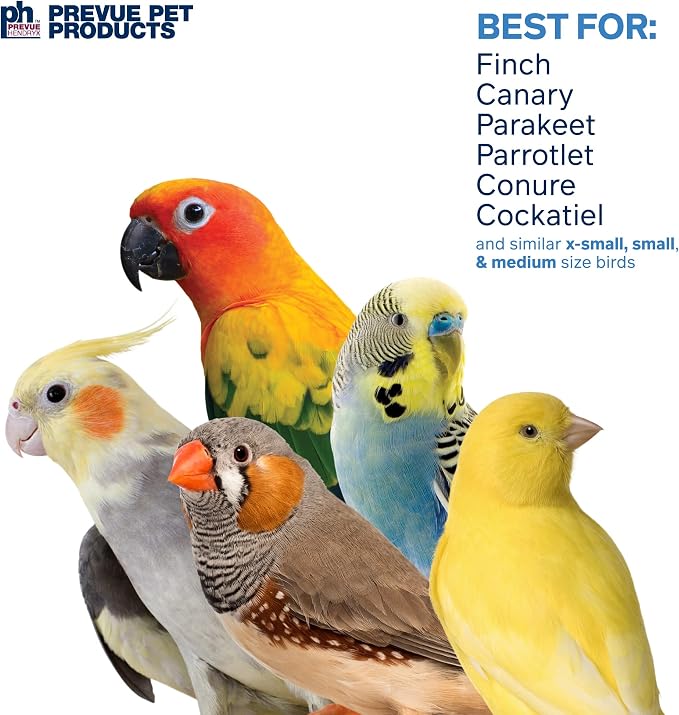 Prevue Pet Products Sound & Movement Mr. Mustache Bird Toy 62614 - Image 4