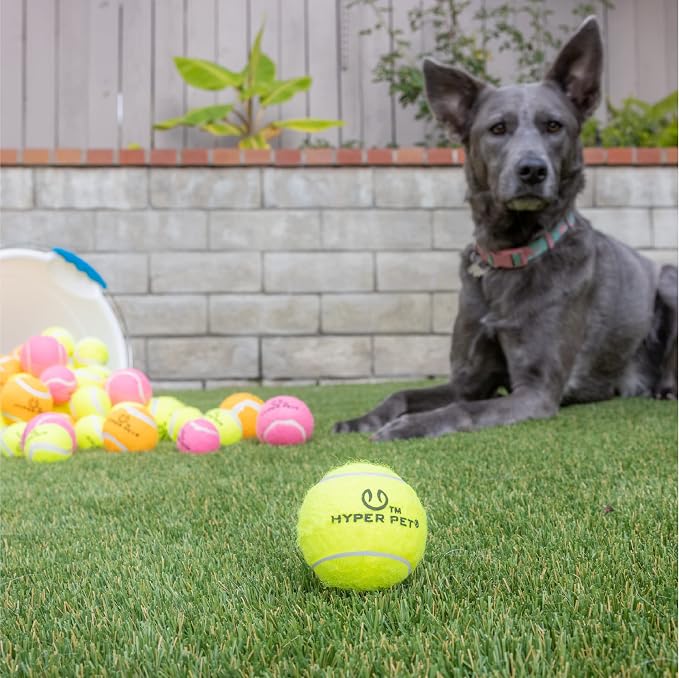 Hyper Pet Tennis Balls for Dogs, Pet Safe Dog Toys for Exercise and Training - Image 4