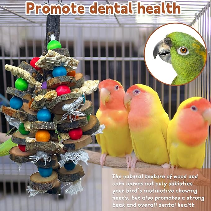 PINVNBY Bird Toys Parrot Toys, Natural Wood Bird Chewing Toys, Parakeet Hanging - Image 4