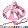 AIITLE Dog Harness, No-Pull Cat Harness by AIITLE-FORPETSBETTERLIFE