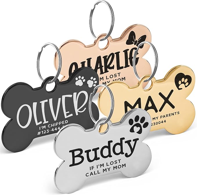 Stainless Steel Engraved Pet ID Tags by PersonalizationLab
