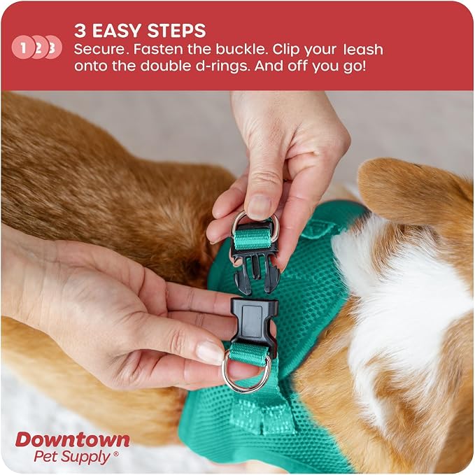 Downtown Pet Supply Step in Dog Harness - Image 5