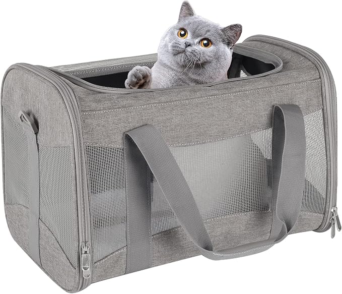 Cat Carrying Case by home