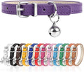 XXS Dog Collar for Teacup Adjustable Teacup Dog Collar for Small Medium Large by Engorgio
