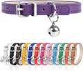XS Dog Collar for Teacup Adjustable Teacup Dog Collar for Small Medium Large by Engorgio