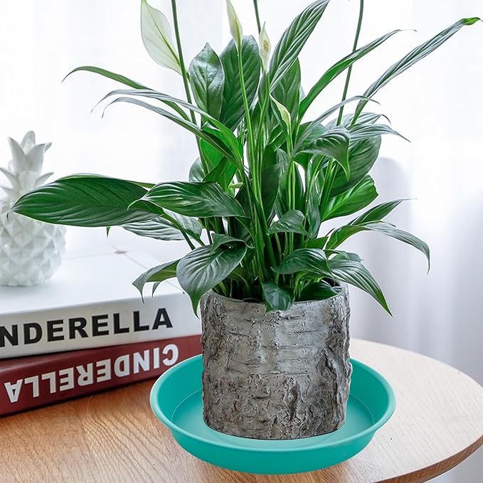 2 Pack of 14 inch Plant Saucers Bird Bath Bow Round, Plastic Plant Saucer Tray - Image 7